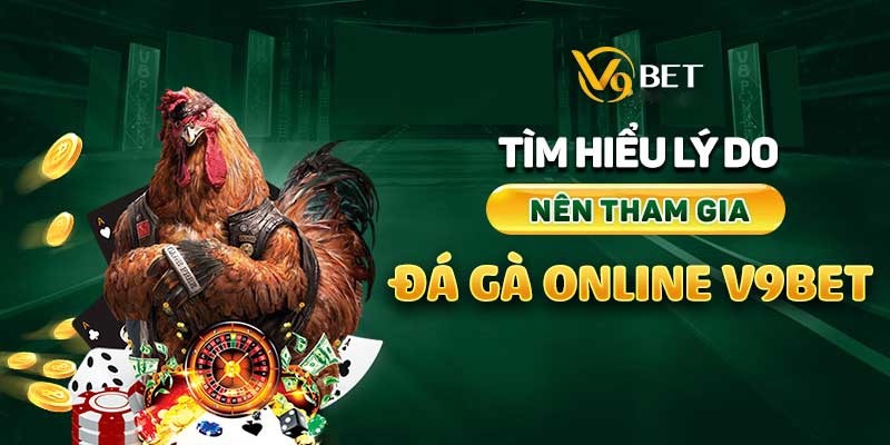 Đá gà V9bet cho phép người chơi đặt cược tiện lợi trên internet