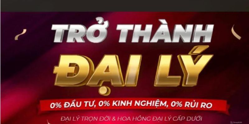 Đơn vị luôn sẵn sàng hỗ trợ đại lý của mình