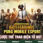 PUBG Mobile Esport - Cá Cược Thể Thao Điện Tử Hot 2024