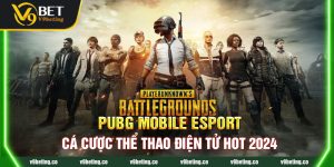 PUBG Mobile Esport - Cá Cược Thể Thao Điện Tử Hot 2024